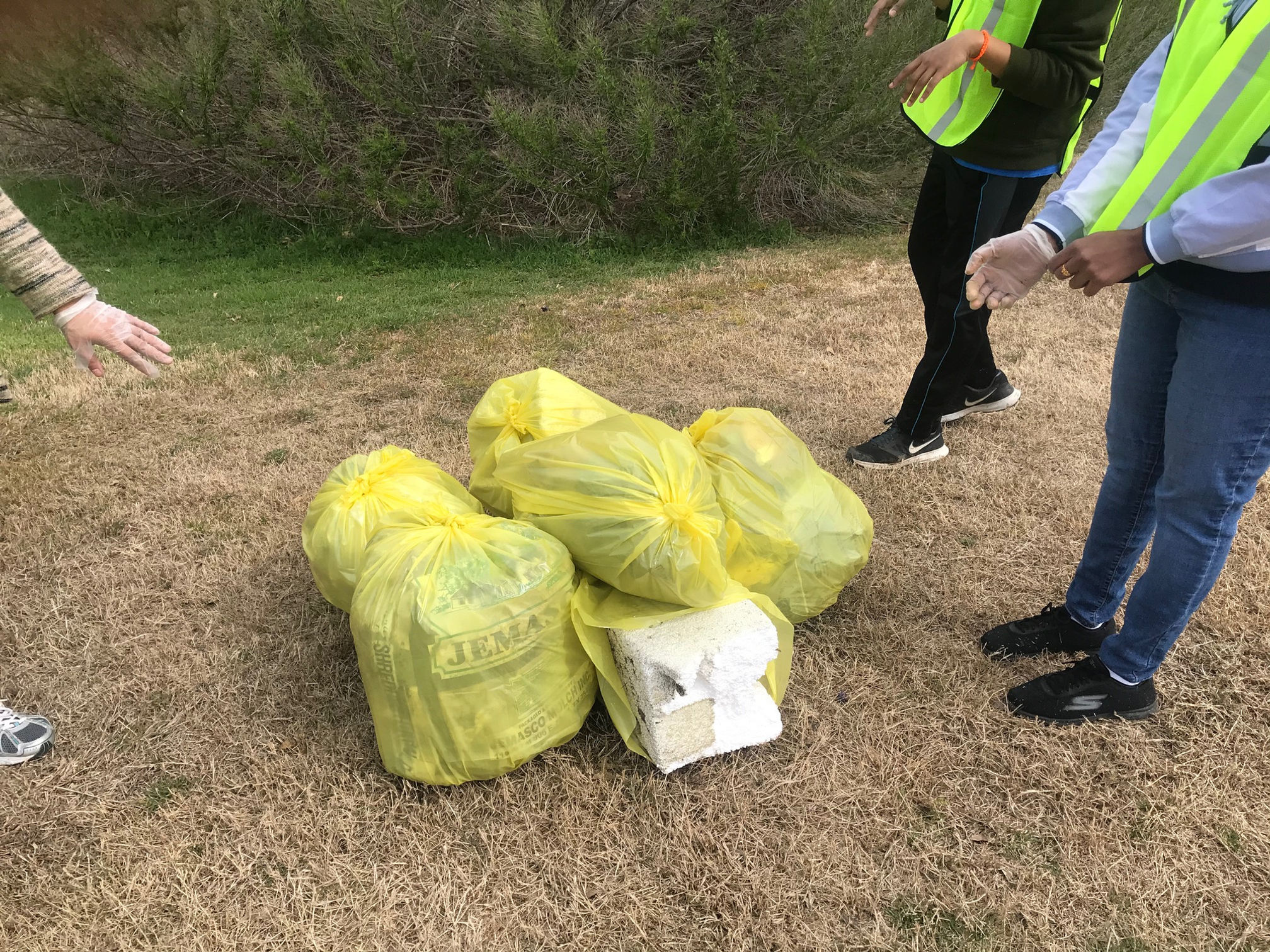 Park Cleaning Project, photograph 3